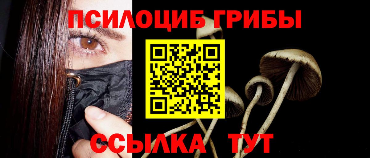 Псилоцибиновые грибы Cubensis Кизляр